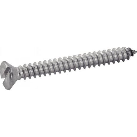Viti acton 624035.5X13 acciaio inox 5.5x13 mm confezione 200