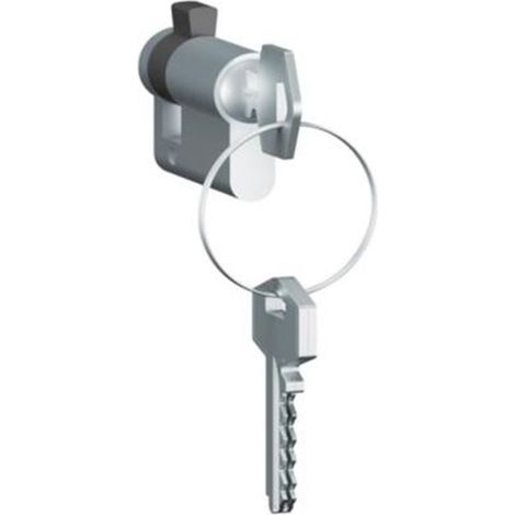 Legrand 069795 - Cañón europeo - con 3 llaves - para programas Plexo/Céliane/Mosaic (1/3)