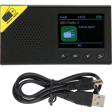 Radio DAB+ Portable avec Écran LCD 2,4 Pouces et Sortie Stéréo pour Maison (1/5)