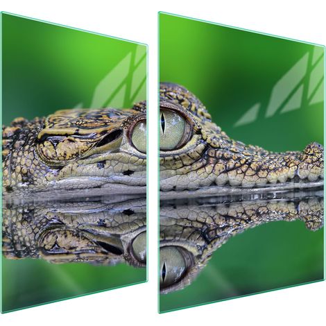 GLASSCHUTZPLATTE FÜR HERD 70x52 KROKODIL (1/5)