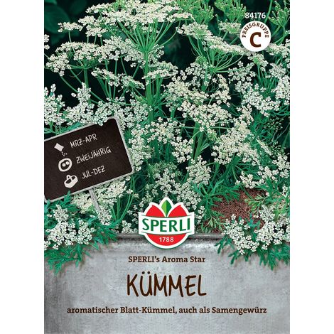 Sperli Kümmel Aroma Star - Kräutersamen (1/2)