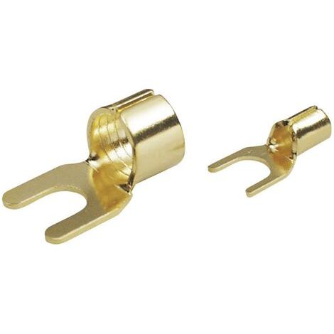 BKL Electronic 0103006 Cosse à fourche 6 mm² Ø du trou=7 mm non isolé or 1 pc(s) (1/3)