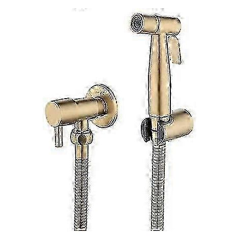 Kit de douchette bidet en acier inoxydable pour toilettes, douchette manuelle, accessoire pour toilettes (1/3)
