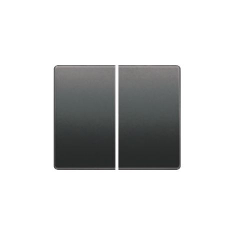 Tecla doble interruptor o conmutador antracita cosso BJC Mega 22709-AC