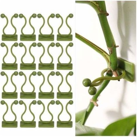 100 clips auto-adhésifs supports plantes grimpantes, fixations murales pour vignes/déco murale (1/4)