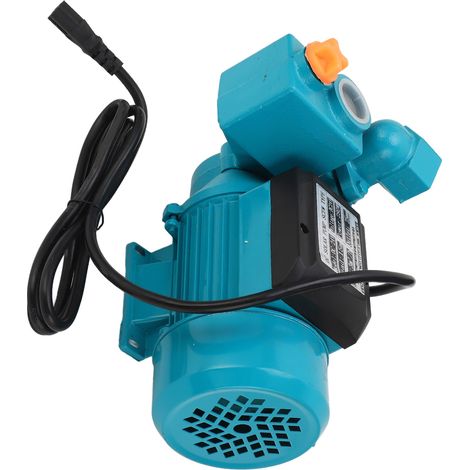 Pompe CC multifonction auto-amorçante pour petits systèmes de filtration d'eau, 24 V (1/5)