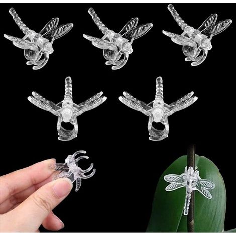 Clips Pour Orchidées - Clips Plantes Jardin Forme Libellule Transparent - Pour Tiges Délicates Tomates Concombres Fleurs - Lot De 100 (1/5)