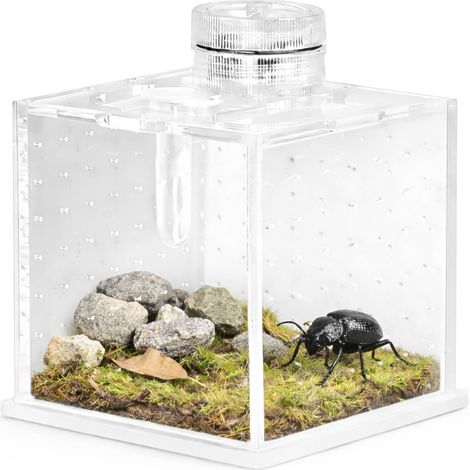 Terrario SpiderNook L - mini terrarium en acrylique avec éclairage (1/5)