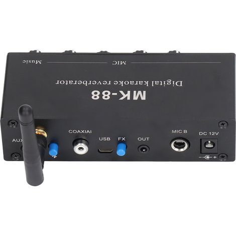 Digitaler Stereo-Verstärker mit Hall, Bluetooth 5.0, zwei Mikrofoneingängen, 12 V DC (1/5)