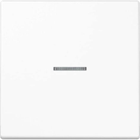 JUNG LS101KO5WW INTERRUPTEUR À BASCULE EN DUROPLAST POUR INTERRUPTEUR BLANC ALPIN SÉRIE LS
