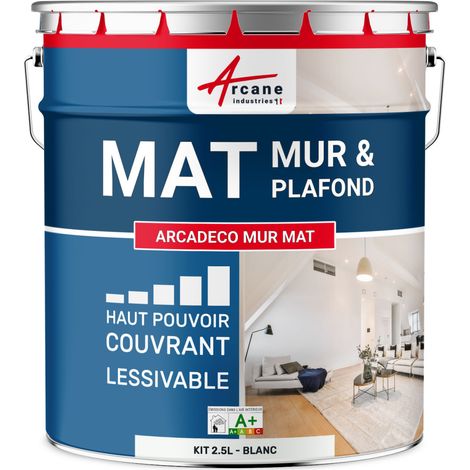 Peinture murale, mat blanche - 2.5 L Blanc - ARCANE INDUSTRIES (1/5)