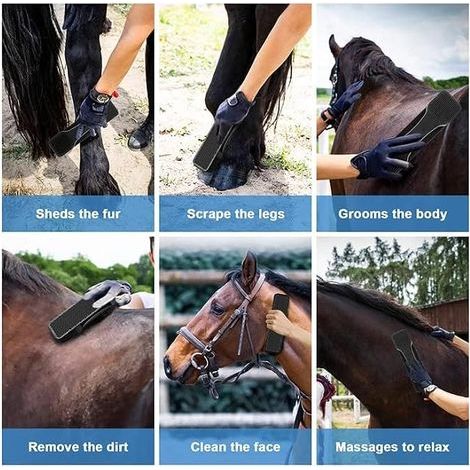 Lot de 2 brosses en crin de cheval, brosses de pansage, outil de démêlage pour chevaux avec manche (1/5)