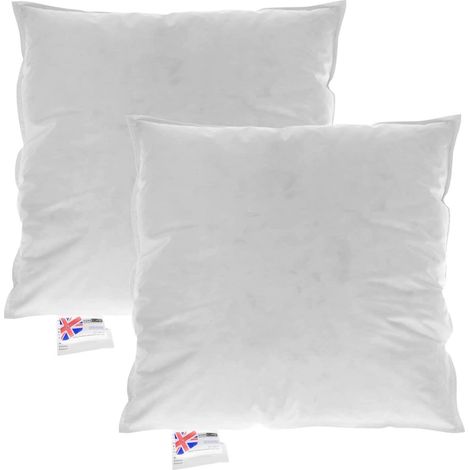 HOMESCAPES Coussin de garnissage Duvet et Plumes d'Oie, 60 x 60 cm, Lot de 2