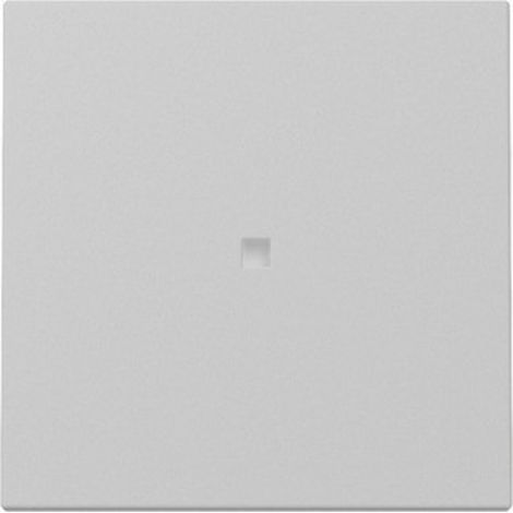 Gira Wippe Kontrollf. System 55 Grau m [3290015], 3290 015