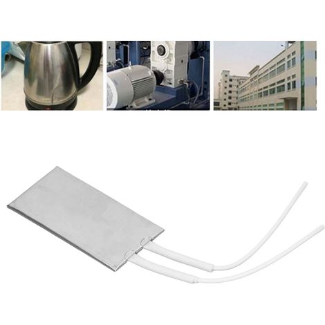 Plaque chauffante en acier inoxydable mica 50 mm x 100 mm, 220 V, 120 W, avec élément chauffant PTC