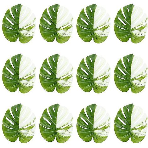 12 Monstera de simulation (1/3)