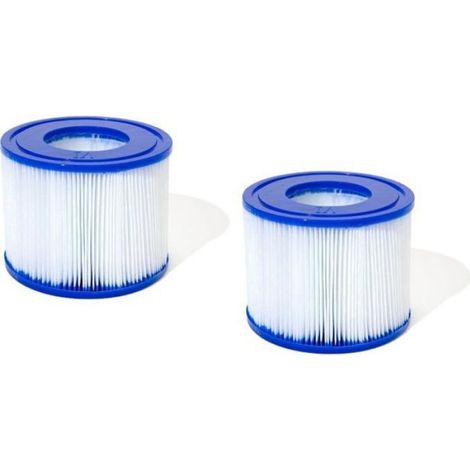 Cartouche De Filtration Type Vi - 10 6 X 8 Cm - Pour Spa Gonflable - Lot De 2 (1/5)
