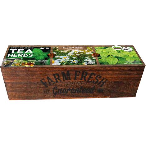 Kit prêt à pousser - Herbes à Thé