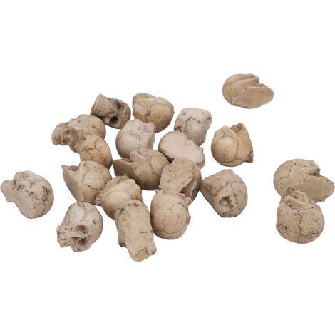20 Miniatures Têtes De Crâne En Resine Pour Jardin Micro Paysage Decoration (1/5)