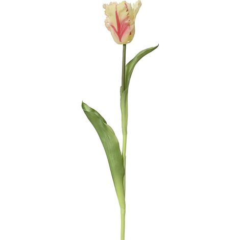 EVERLANDS Papagei-Tulpe Creme & Rot Ø 6 cm 51 cm - Kunstblumen