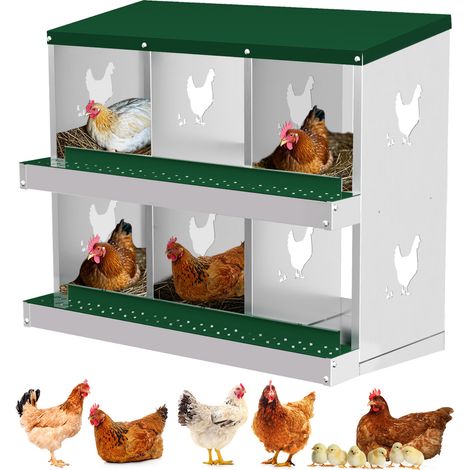 Nid Pondoir 6 Alvéoles en Acier Galvanisé – Antirouille, Récolte des Œufs Facilitée, Poulailler Pratique, vert (1/5)