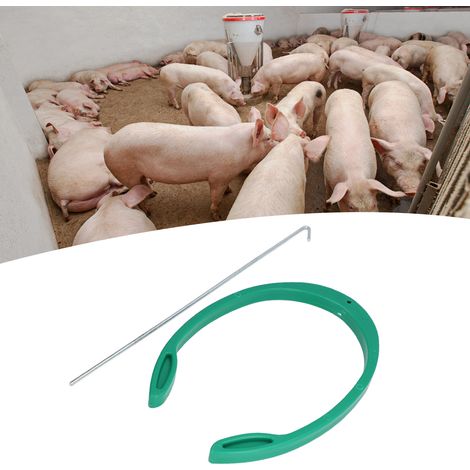 Kit d'Insémination Artificielle pour Porcs, Taille Réglable, Forme Unique, Serrage Naturel (1/5)