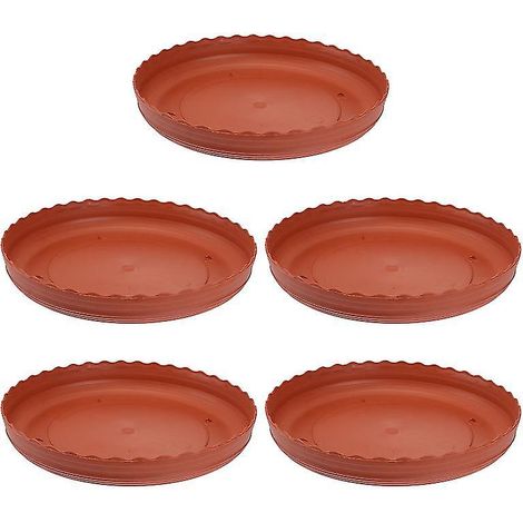 Lot de 5 pots pour plantes succulentes avec base