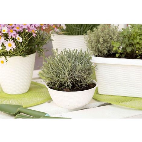 CIOTOLA PER FIORI 'PAGLIA' Ø cm 40xh.17 lt.12,5 - panna- 10 pezzi  - BAMA