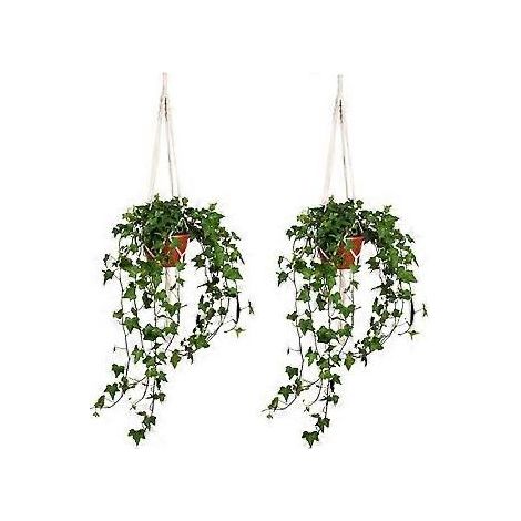 Trois H Cintres Plantes Pot De Fleur Titulaire Suspendu Jardinire Panier Ensemble Corde La Main pour Salon Intrieur Balcon Dcoration 41 Pouces (1/5)
