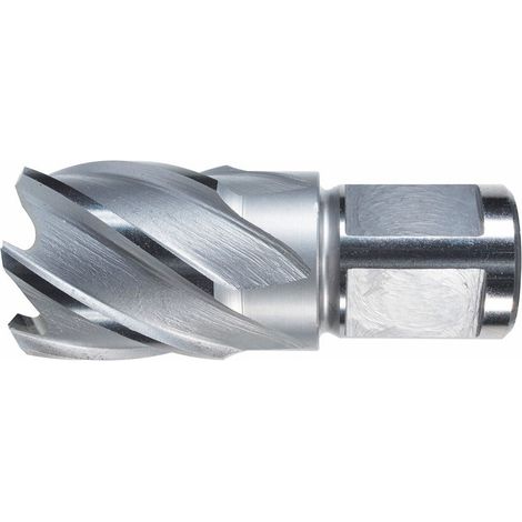 Kernbohrer HSS 34/30mm Alfra (1/4)