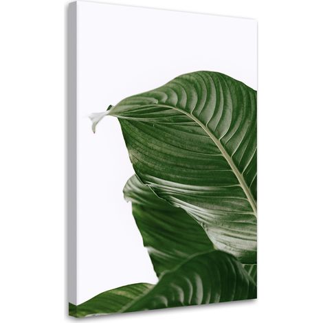 Tableau sur toile Feuilles vertes nature botanique 40x60 (1/5)
