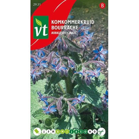 Bourrache - Ca. 1,5 gr (Livraison Gratuite) (1/2)