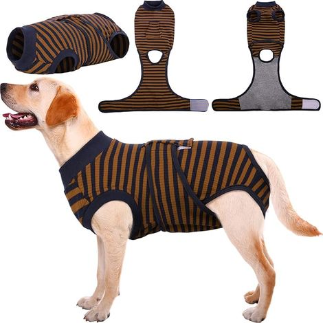 Dog Cat Recovery Suit for Dogs Cats After Surgery Abdominal Wounds Protection / Skin Disease Alternative to Electronic Pet Collar