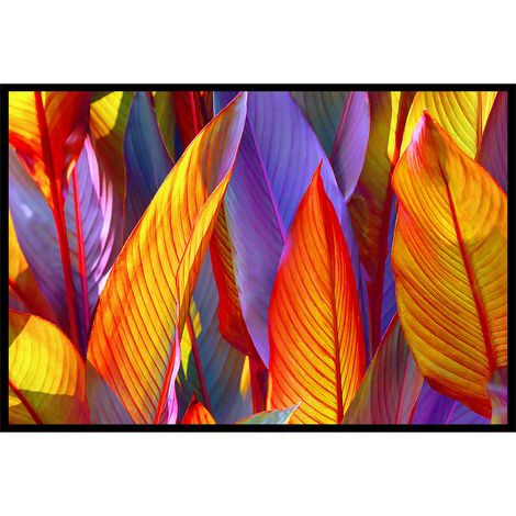 Affiche encadrée feuillage tropical aux couleurs vives (1/5)