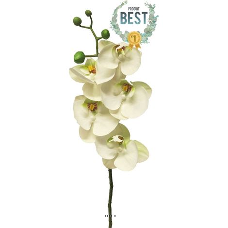 Tige orchidée phalaenopsis faux 5fleurons touché réel H58cm Crème-BEST - couleur: Crème