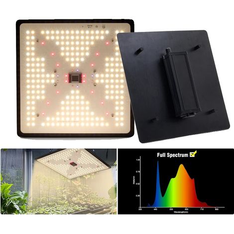 Lampada per coltivazione, emissione a spettro completo, controllo della luminosità (1/5)