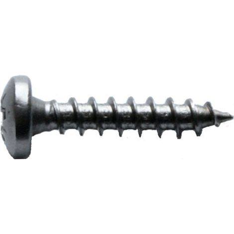 Vis Inox Cruciforme Tête Ronde 4x20mm Piscine