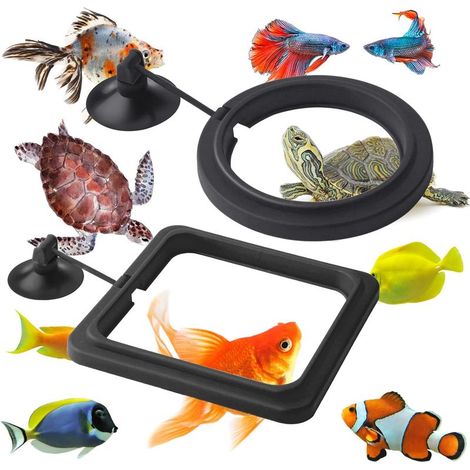 Anneau de Nourriture pour Poissons, 2 pièces Distributeur de Nourriture pour Poissons Aquarium réservoir Accessoires Tortue Distributeur de Nourriture Cercle pour Guppy, bettas (Noir) (1/5)