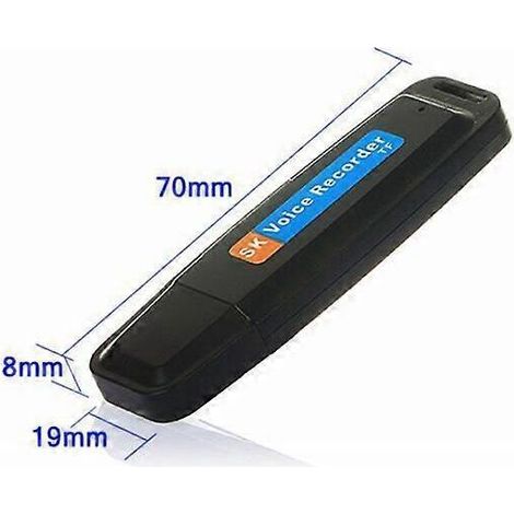 U-Disk Digital Audio Voice USB Flash Drive Bis zu 32 GB Micro-TF-Speicher (1/4)