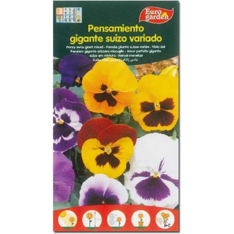 SEMILLAS FITO FLORES PENSAMIENTO GIGANTE SUIZO VARIADO=00596