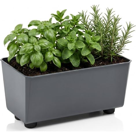 Jardinière Rectangulaire avec Pieds Élégants – Bac À Fleurs Anthracite en Plastique Robuste 28,5 x 17 cm, 4,2L – Résistant Aux Intempéries (1/5)