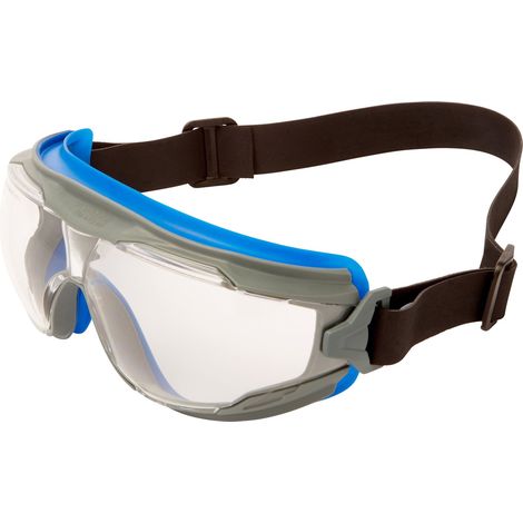 3M Goggle Gear 500 GG501NSGAF-BLU Vollsichtbrille mit Antibeschlag-Schutz Blau, Grau EN 166 DIN 166 (1/2)