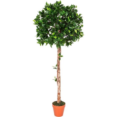 HOMESCAPES Kunstpflanze Grün 'Ficus Tropische Zierpflanze' im Topf, 125 cm (1/5)