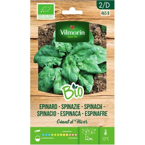 Vilmorin Garden Bio Seeds di giganteschi spinaci invernali di 10 gr