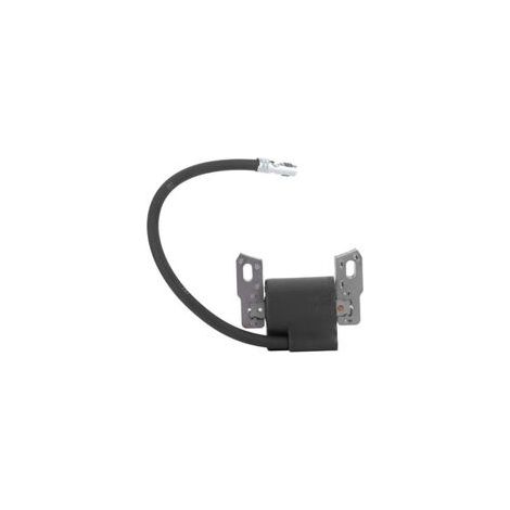Pièce Détachée Ignition Compatible Modèles 590455 793354 799382 pour Tondeuse - (1/5)