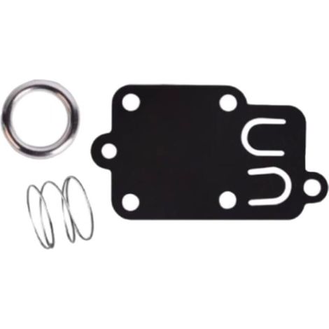 Set di 5 kit di guarnizioni per diaframma del carburatore per motori Briggs & Stratton da 2 a 5 CV: 270026, 272538, 272538S, 272637, 4157, 4168, 5021, 5021K, 690766, 221377, tappo a molla (1/3)