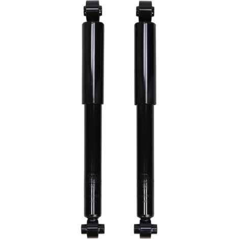 Ammortizzatori posteriori sinistro e destro per Citroen Nemo, Fiat Fiorino, Qubo, Peugeot Bipper (1/5)
