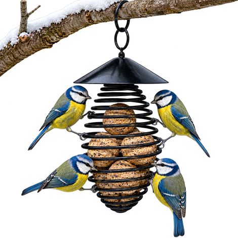 Mangeoire ovale en métal pour oiseaux (1/5)