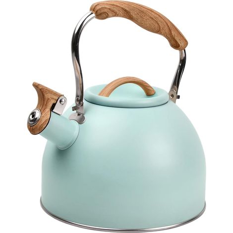 Bouilloire sifflante en acier inoxydable pour cuisinière à gaz, induction et plaques électriques 3 l (1/5)