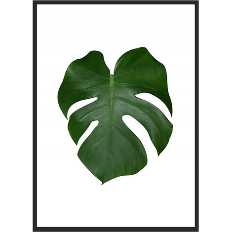 BILDPOSTER IM RAHMEN 43x33 cm Blatt 2 P570 (1/4)